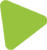icona-triangolo--verde